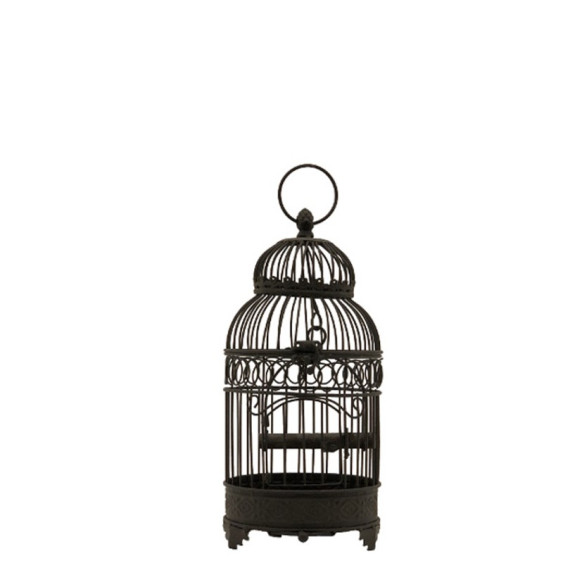 Petite Cage à  Oiseaux en fer