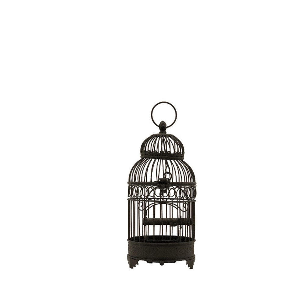 Petite Cage à  Oiseaux en fer