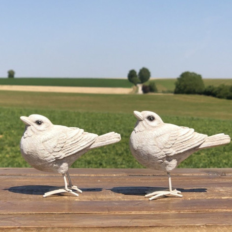 Oiseau blanc à poser