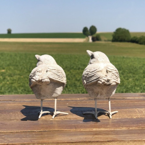 Oiseau blanc à poser