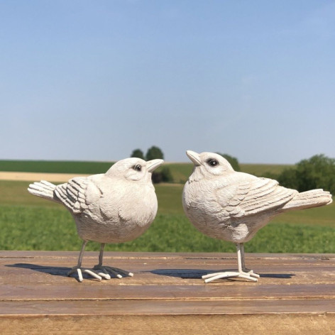 Oiseau blanc à poser