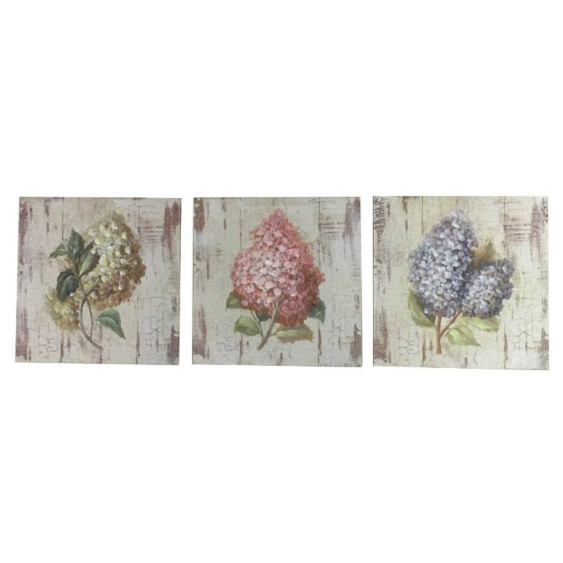 Set de 3 Peintures sur toile «Hydrangéa