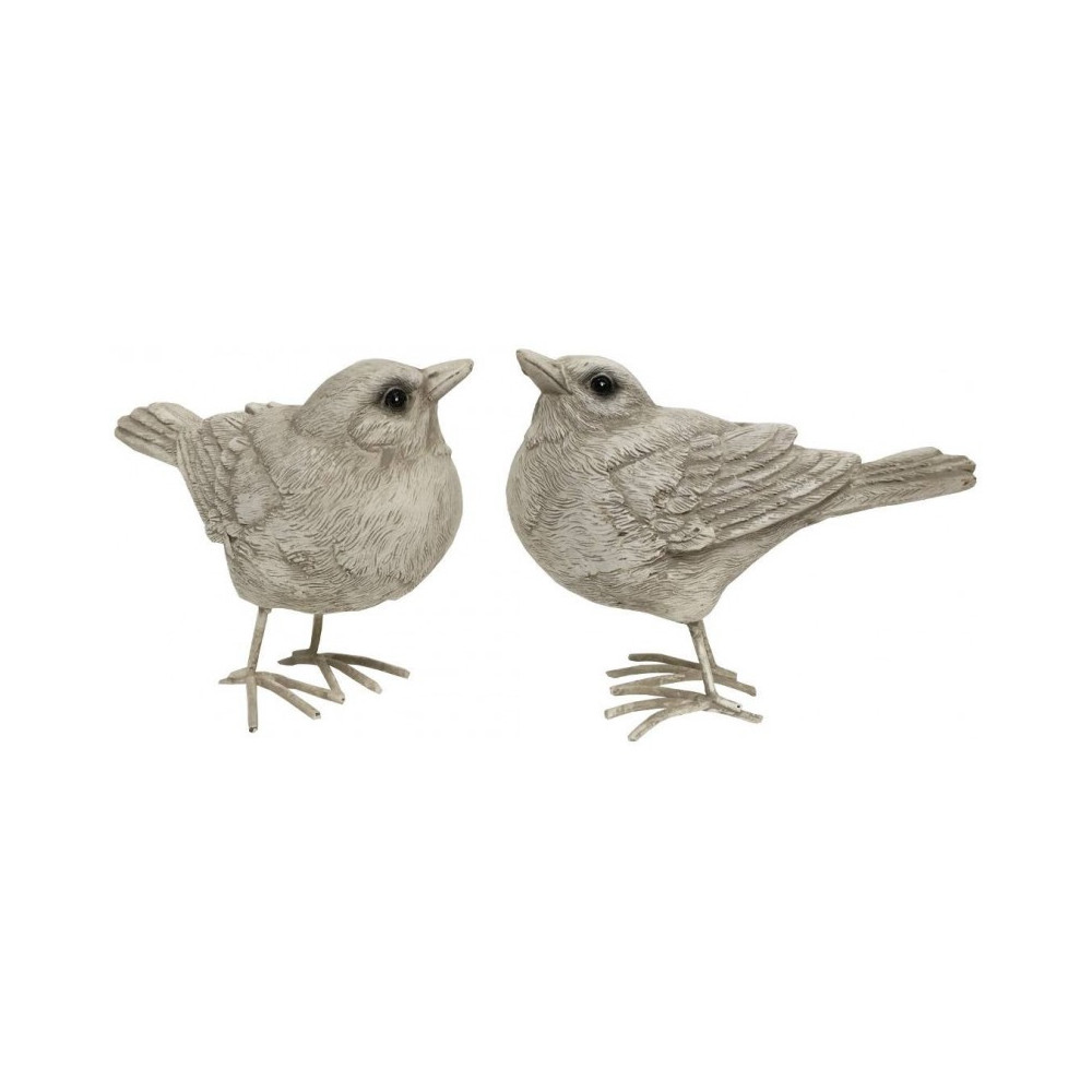 2 Oiseaux  gris