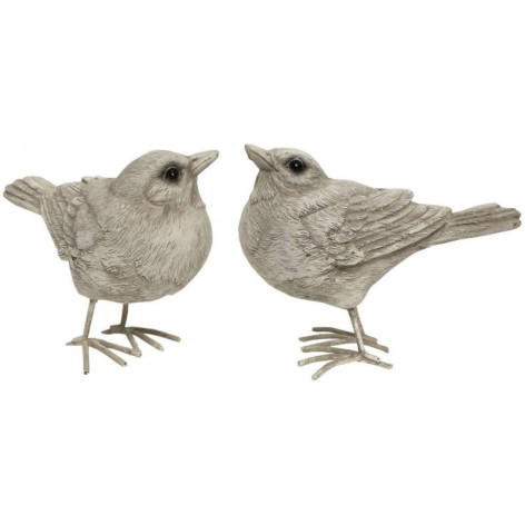 2 Oiseaux  gris