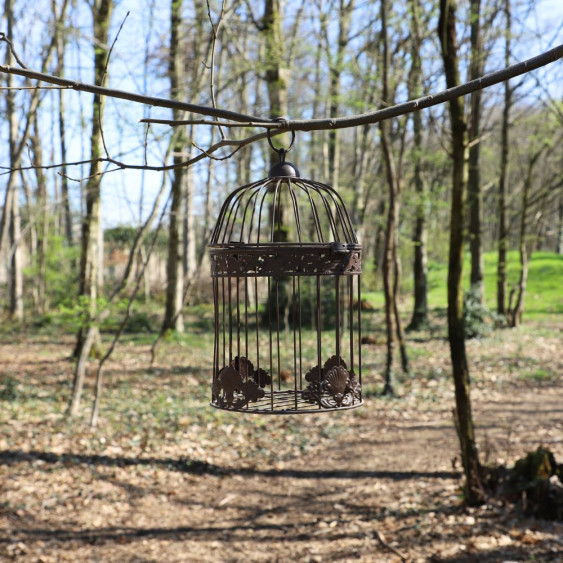 Cage à oiseaux ronde marron