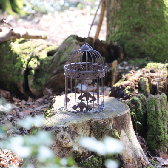 Cage à oiseaux ronde marron