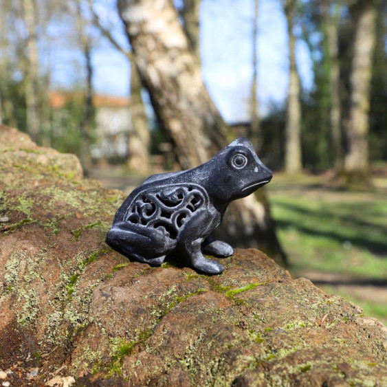 Grenouille noire à poser