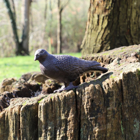 Pigeon en fonte marron 19 x 8 x 12 cm