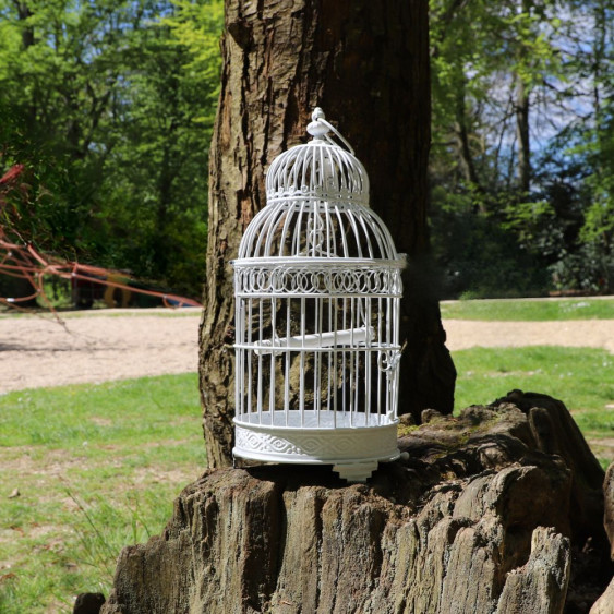 Cage à  Oiseaux Carré en Fer