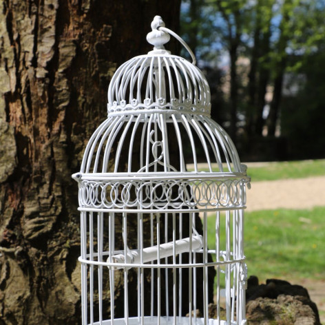 Cage à  Oiseaux Carré en Fer