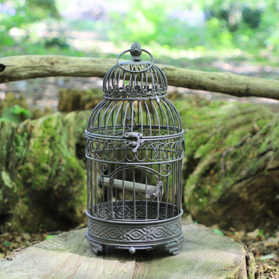 Petite Cage à  Oiseaux en fer