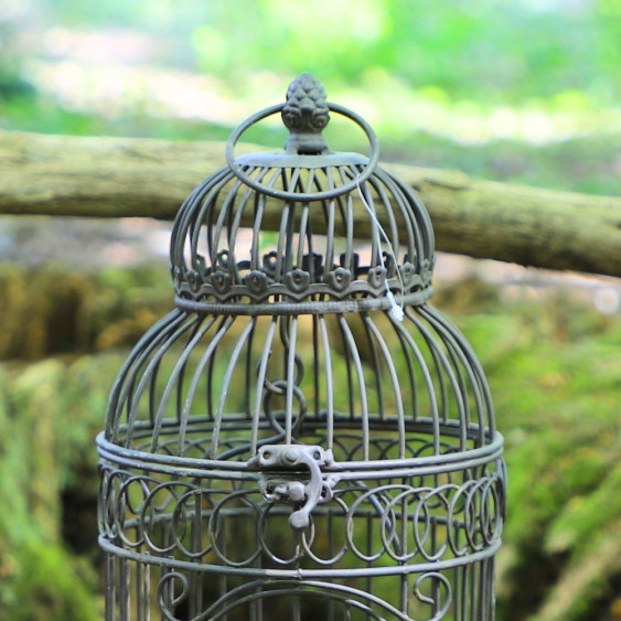 Petite Cage à  Oiseaux en fer