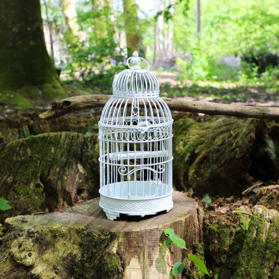 Cage à  Oiseaux Carré en Fer