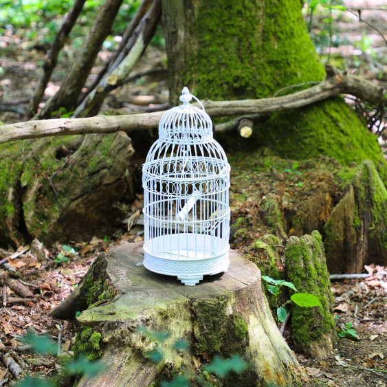 Cage à  Oiseaux Carré en Fer