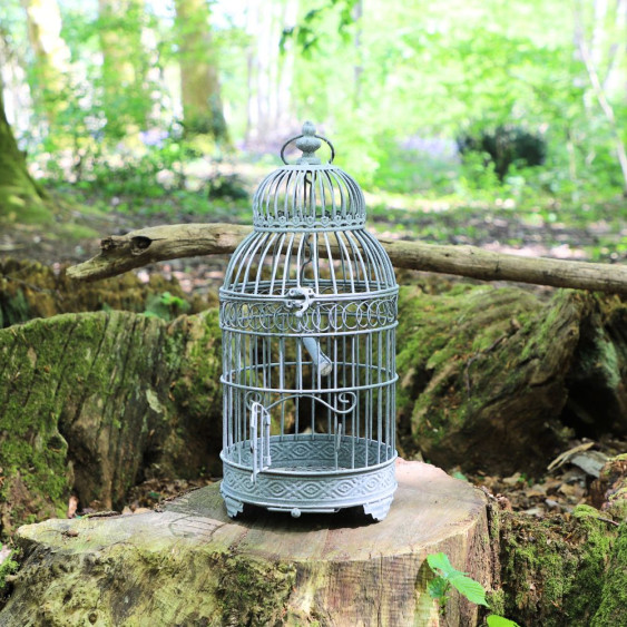 Cage à  Oiseaux en Fer