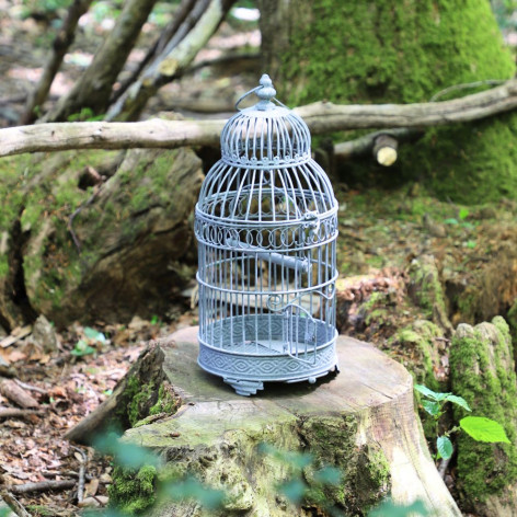 Cage à  Oiseaux en Fer