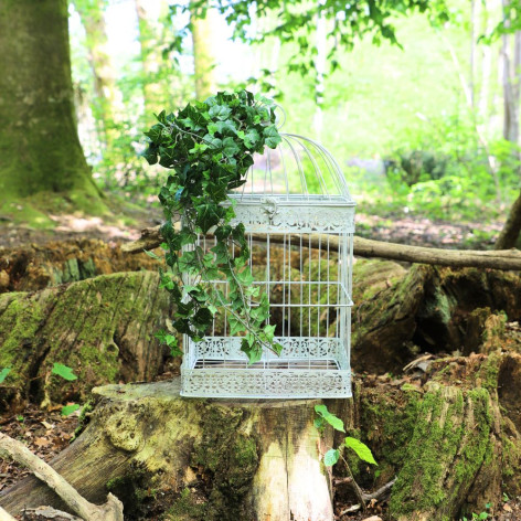 Cage à oiseaux blanche