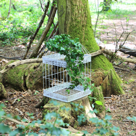 Cage à oiseaux blanche