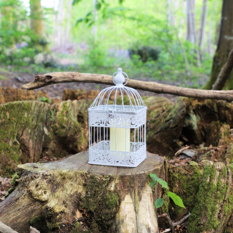 Cage à oiseaux blanche