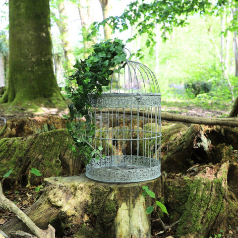 Cages à oiseaux rondes et grises