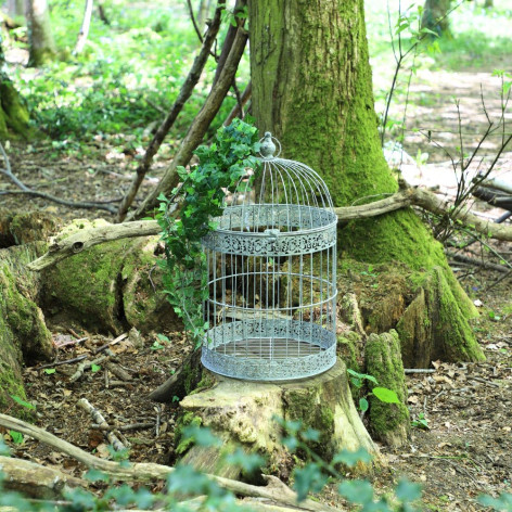 Cages à oiseaux rondes et grises