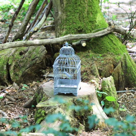 Petite Cage à  Oiseaux Carré en Fer