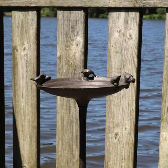 Bain d'oiseau marron