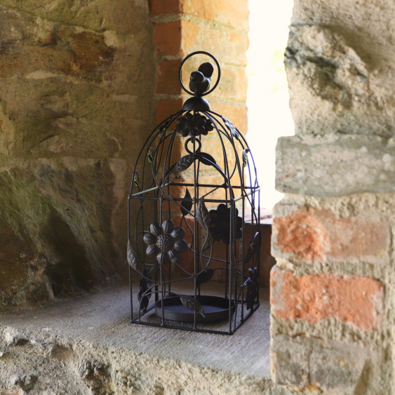 Cage à oiseaux