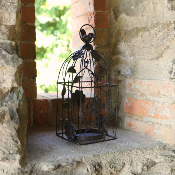 Cage à oiseaux