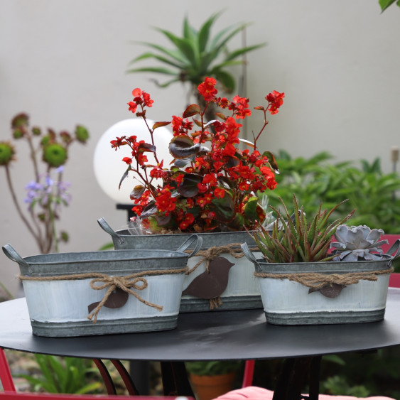 Set de 3 jardinières ovales avec poignées en métal et oiseau suspendu