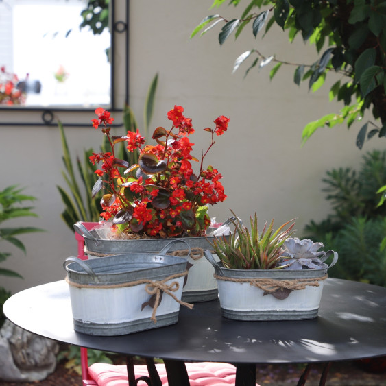 Set de 3 jardinières ovales avec poignées en métal et oiseau suspendu