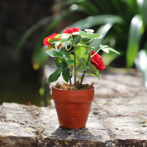 Rosier Artificiel Rouge en pot de terre