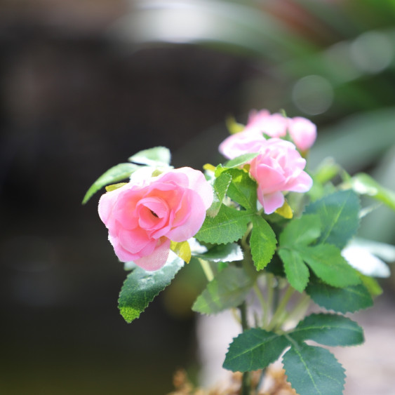 Rosier Artificiel Rose en pot de terre