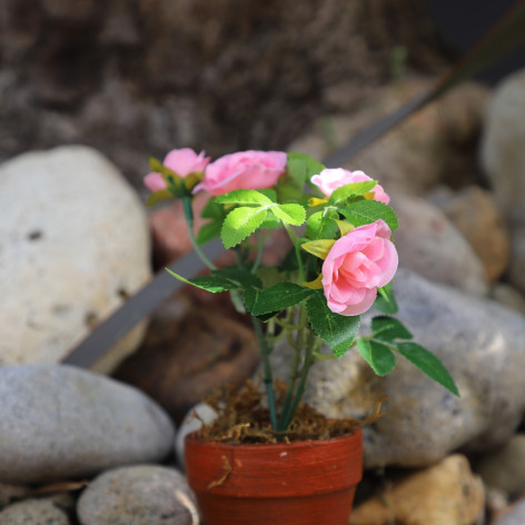 Rosier Artificiel Rose en pot de terre