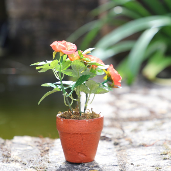 Rosier Artificiel Corail en pot de terre