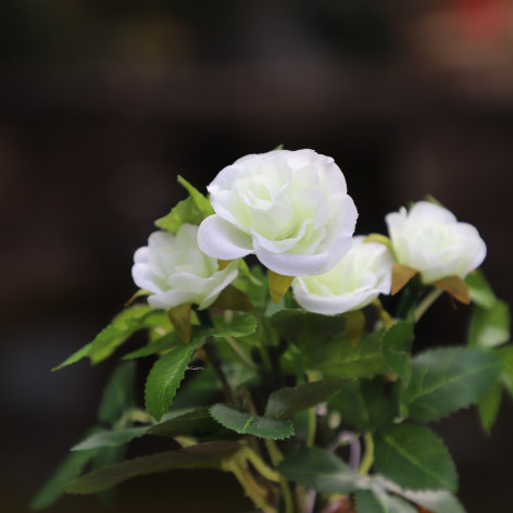 Rosier Artificiel Blanc en pot de terre