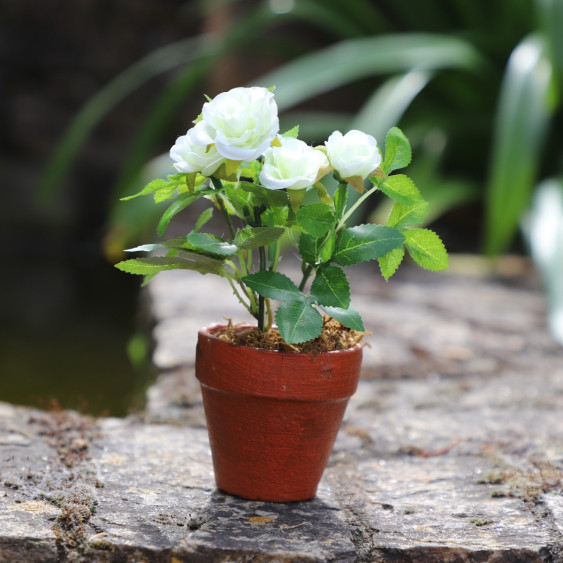 Rosier Artificiel Blanc en pot de terre