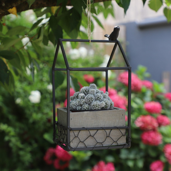 Jardinière carrée «Maisonnette et oiseau» en bois et métal