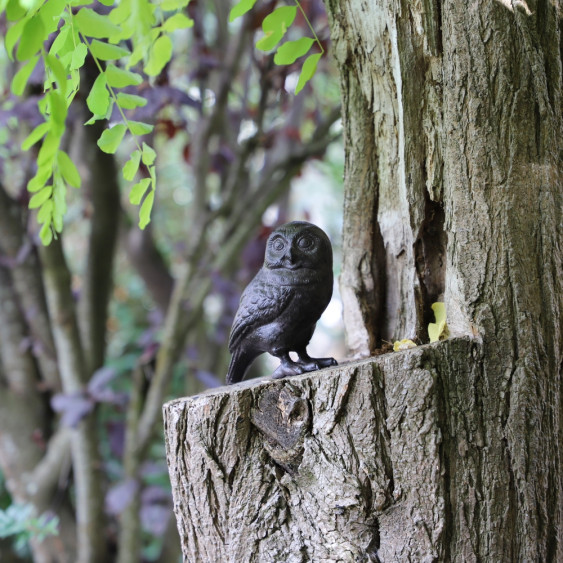 Chouette marron à poser