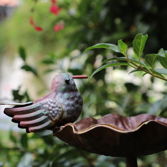 Bain d'oiseau sur pic marron