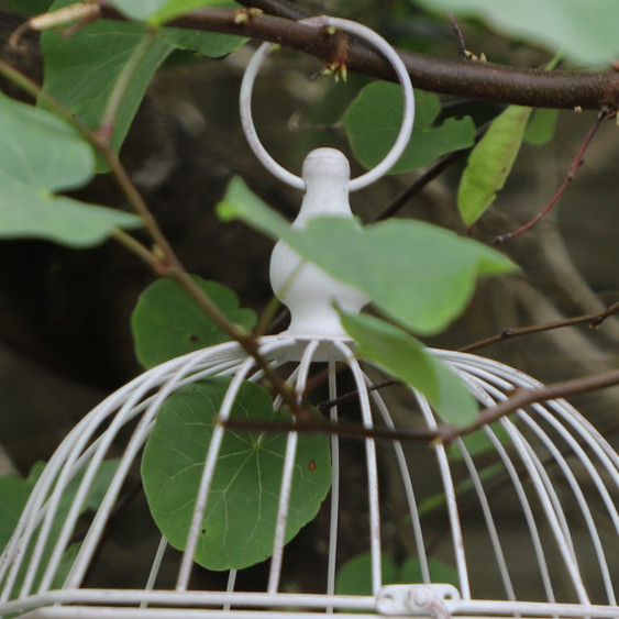 Cage à oiseaux bougeoir en métal blanc vieilli