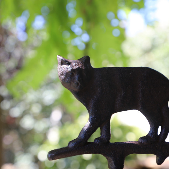 Cloche marron avec un chat