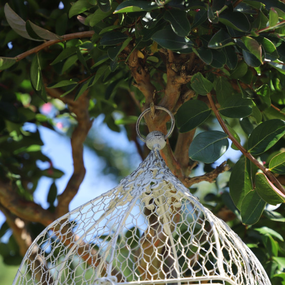 Cage à oiseaux bougeoir grillagée en métal blanc vieilli