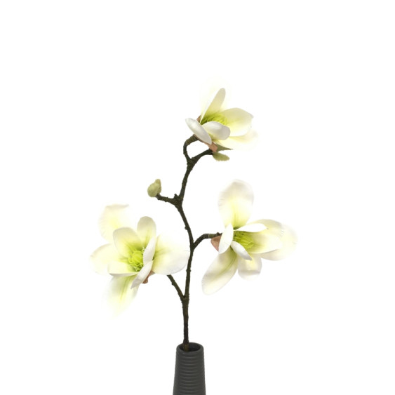 Branche de Magnolia (3 fleurs) en artificiel - Blanc / vert